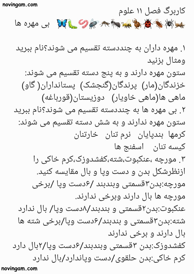 نمونه سوال درس ۱۱ علوم چهارم با جواب