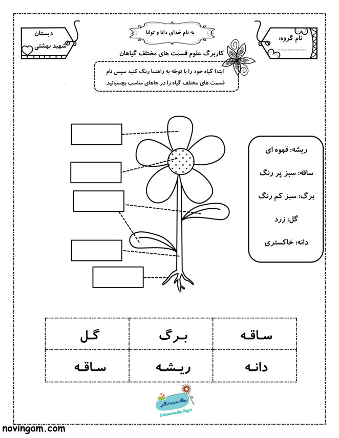 نمونه سوال درس ۱۲ علوم چهارم