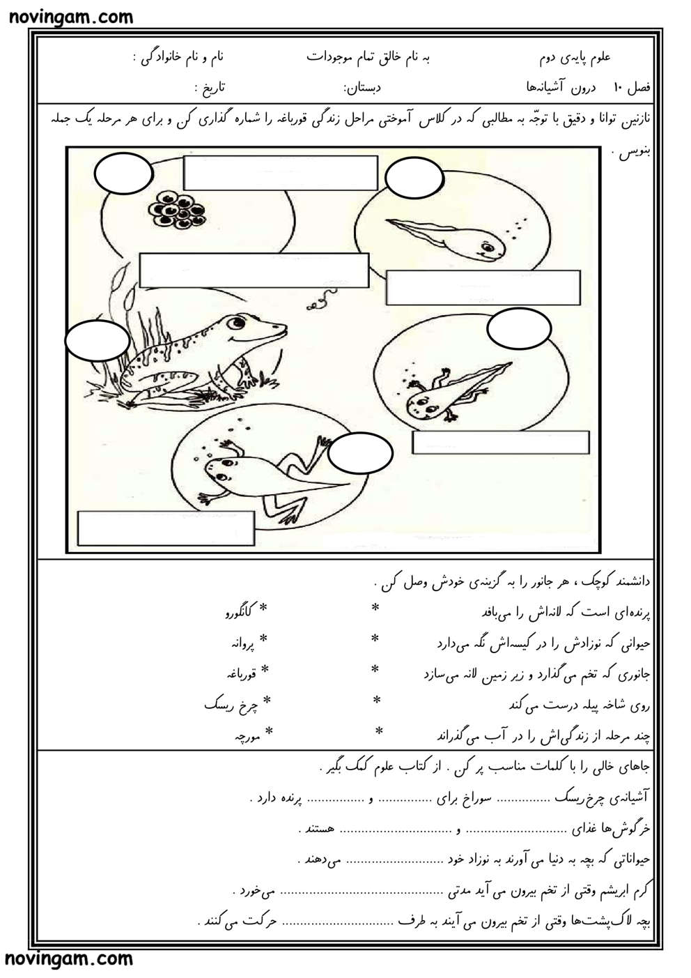 نمونه سوال درس ۱۰ علوم کلاس دوم