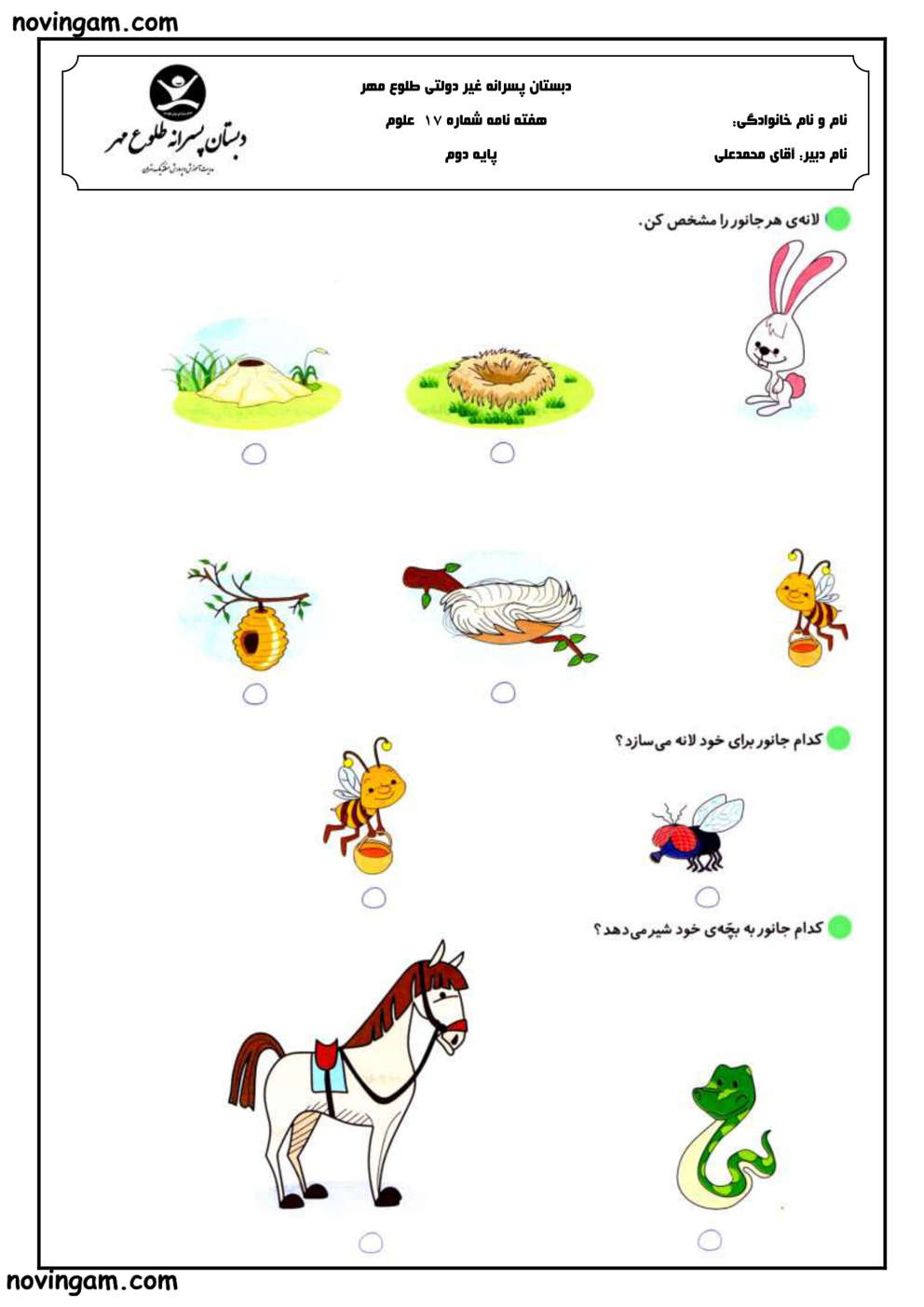 نمونه سوال درس ۱۰ علوم دوم ابتدایی