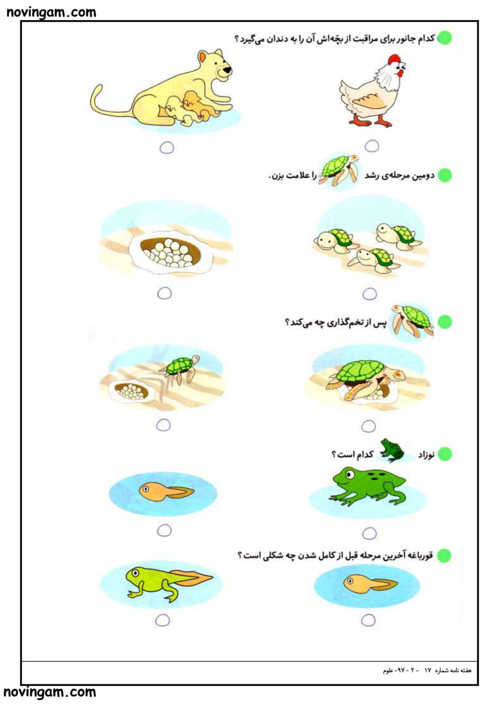 نمونه سوال درس ۱۰ علوم پایه دوم