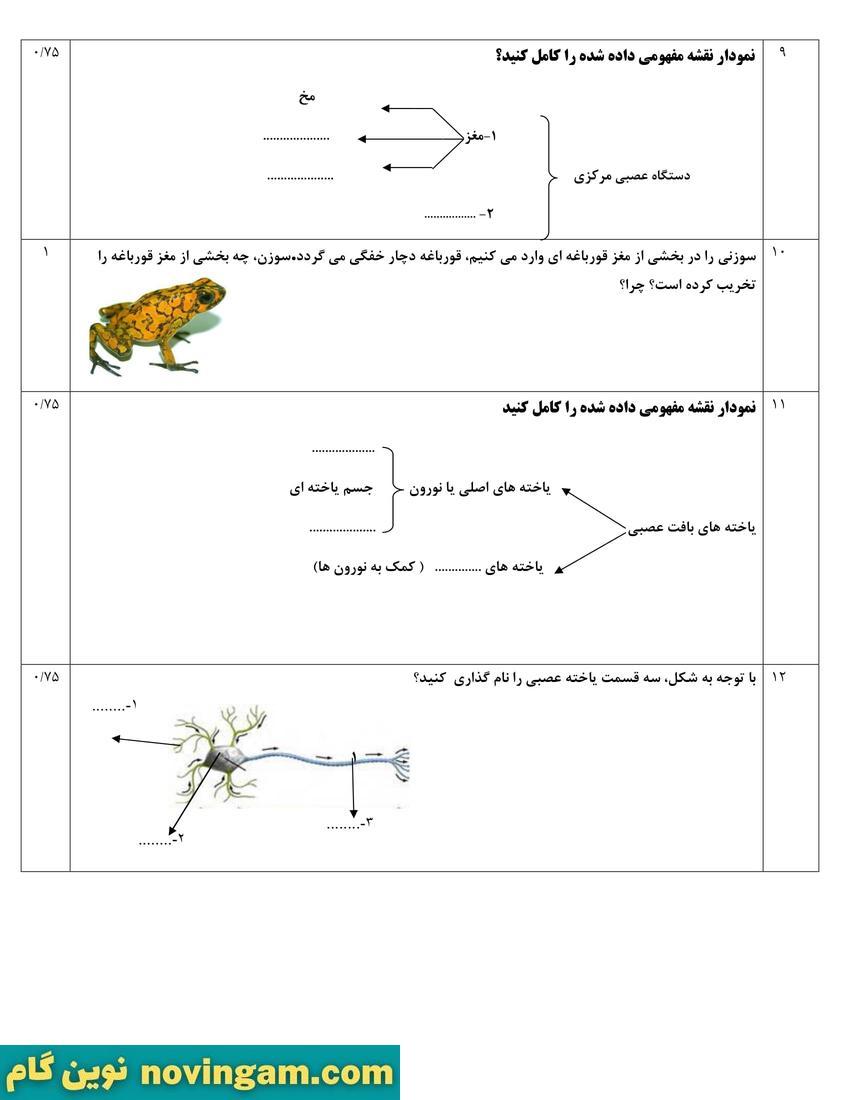 نمونه سوال نوبت اول علوم هشتم